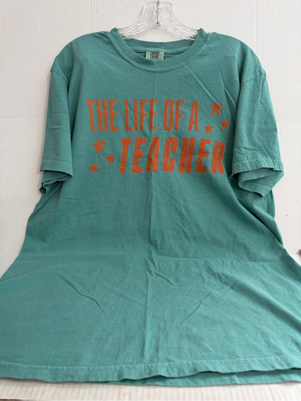Comfort Colors “The Life of a Teacher” T Shirt